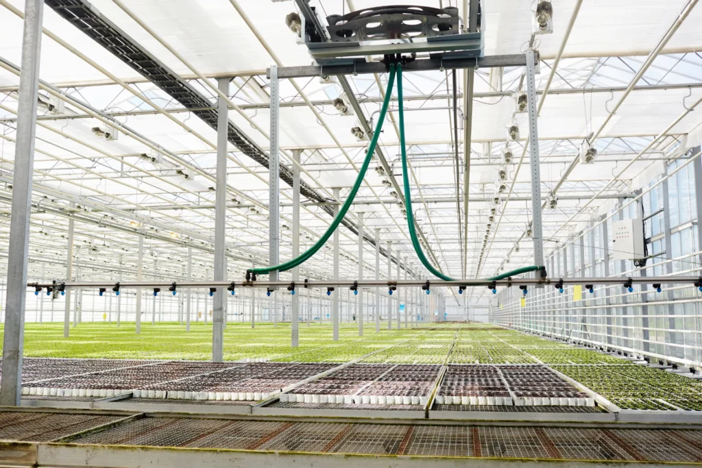 Automated irrigation boom in a greenhouse nursery