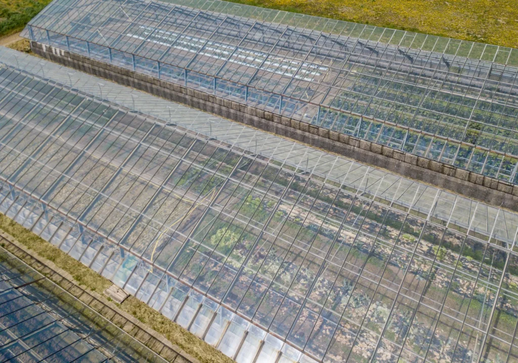 Aerial view of a modern glass greenhouse complex