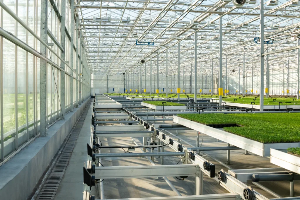 Greenhouse with hydroponic growing benches