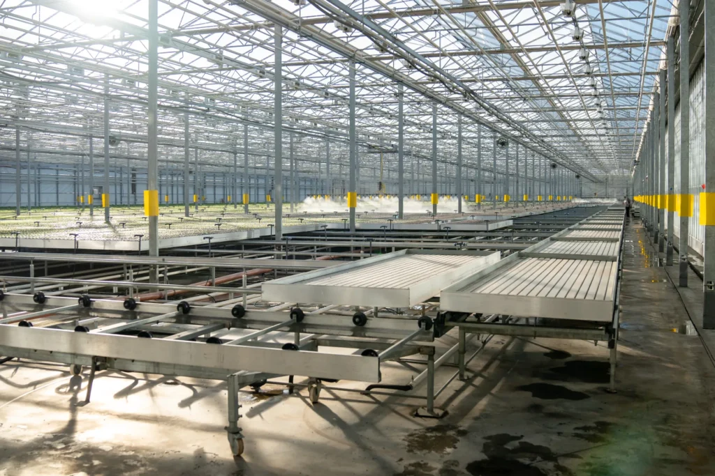 Greenhouse rolling benches and irrigation