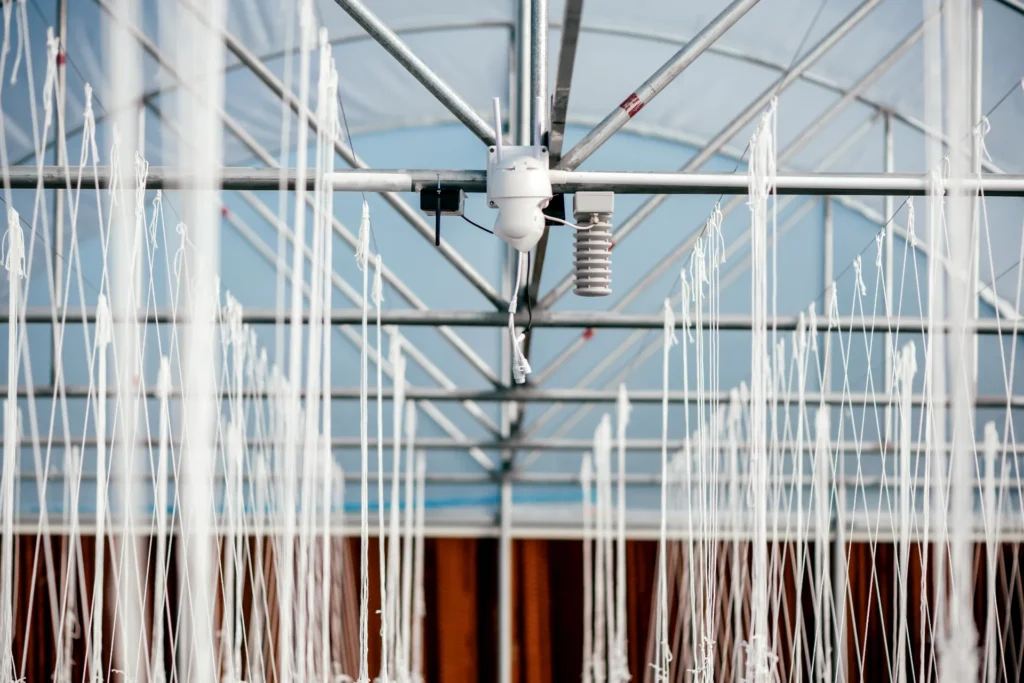Greenhouse automation sensors and crop support system