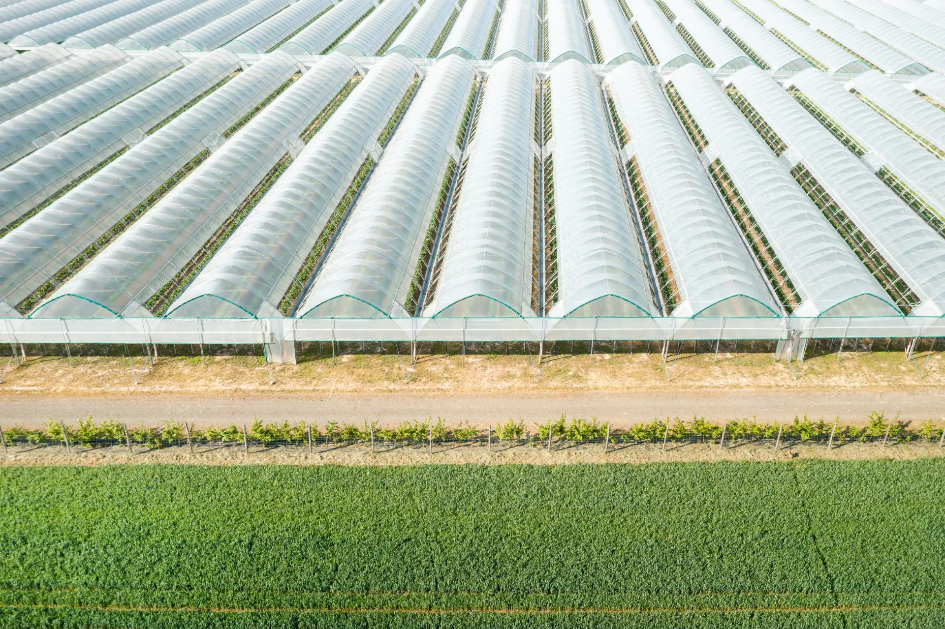 Greenhouses and farmland from a high angle